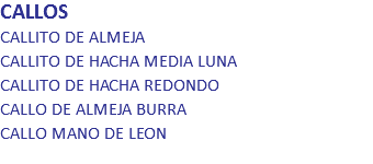 CALLOS
CALLITO DE ALMEJA
CALLITO DE HACHA MEDIA LUNA
CALLITO DE HACHA REDONDO
CALLO DE ALMEJA BURRA
CALLO MANO DE LEON